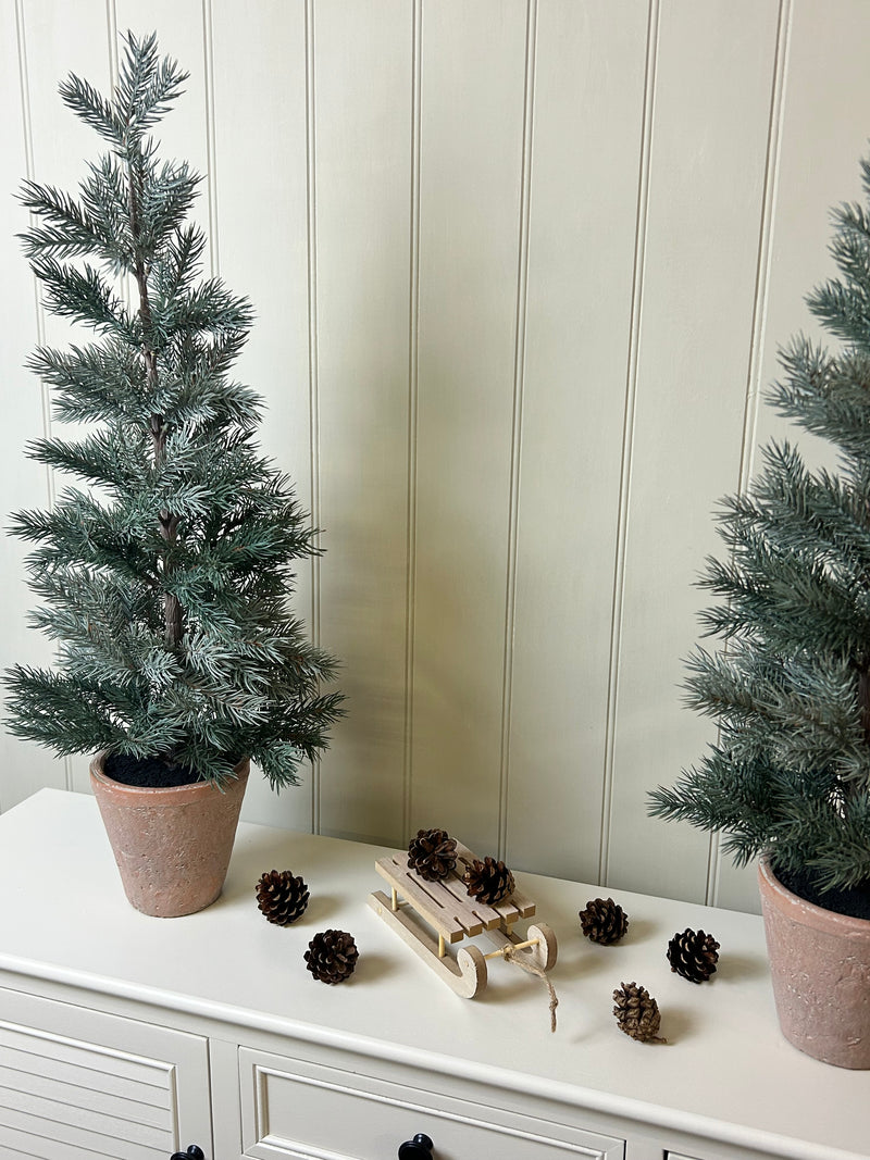 Tall 70cm potted terracotta pine tree