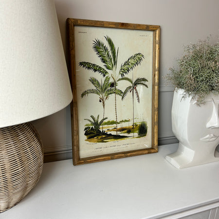 Palm print with bamboo frame 4 styles