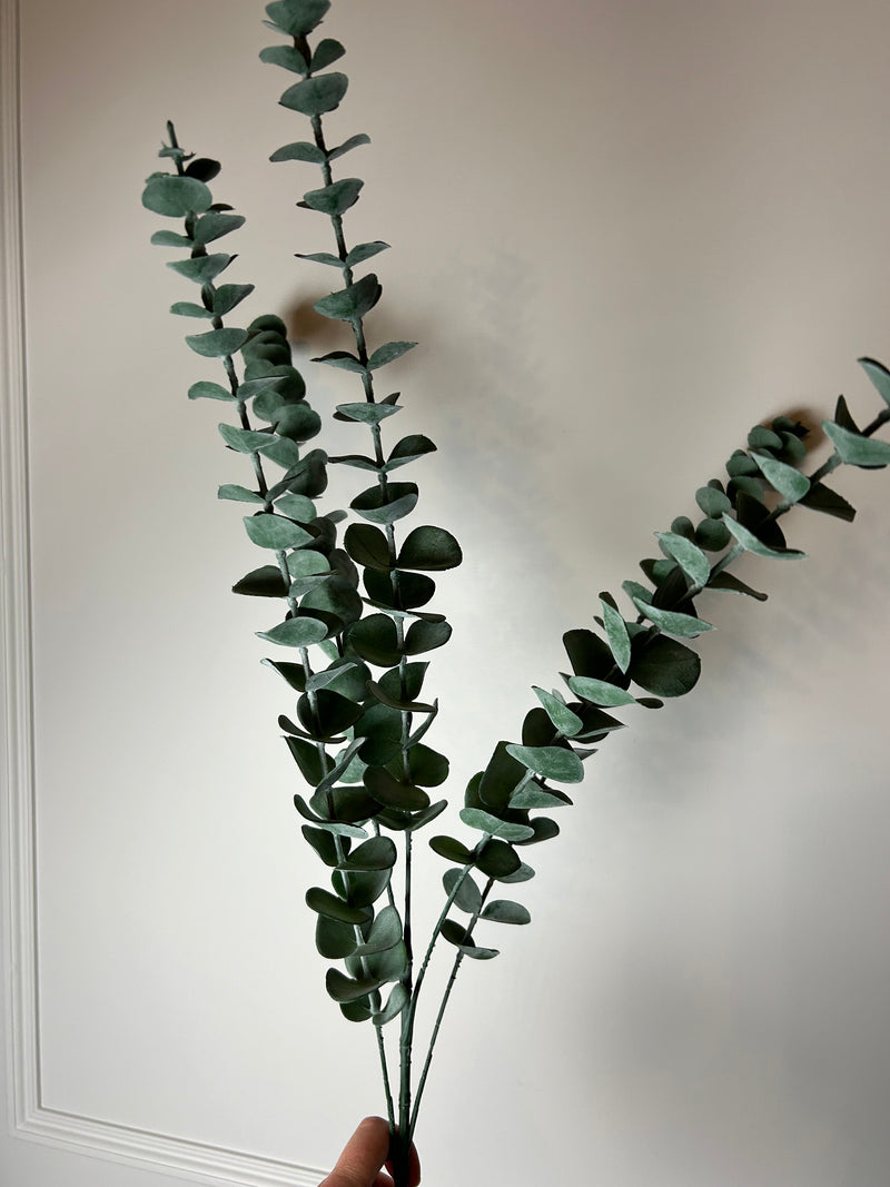 5 Stem Large Natural Eucalyptus Stem