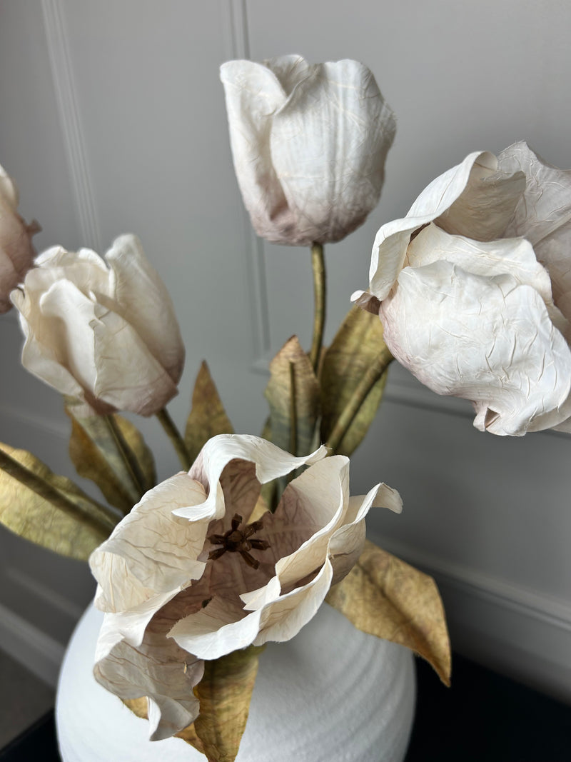 Dried real feel oyster tulip stem 70cm