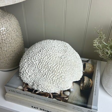 Off White Sitting round large Coral