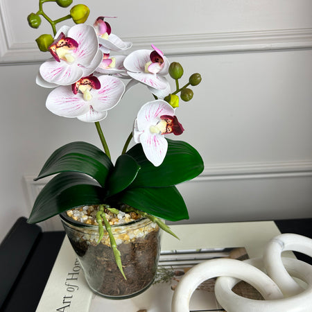 White & Pink glass Potted Orchid