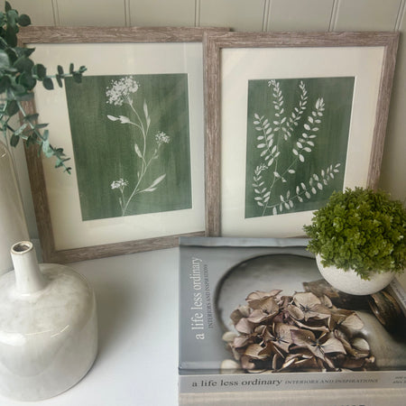 Sage green fern botanicals framed mounted glazed art work pictures 2 styles