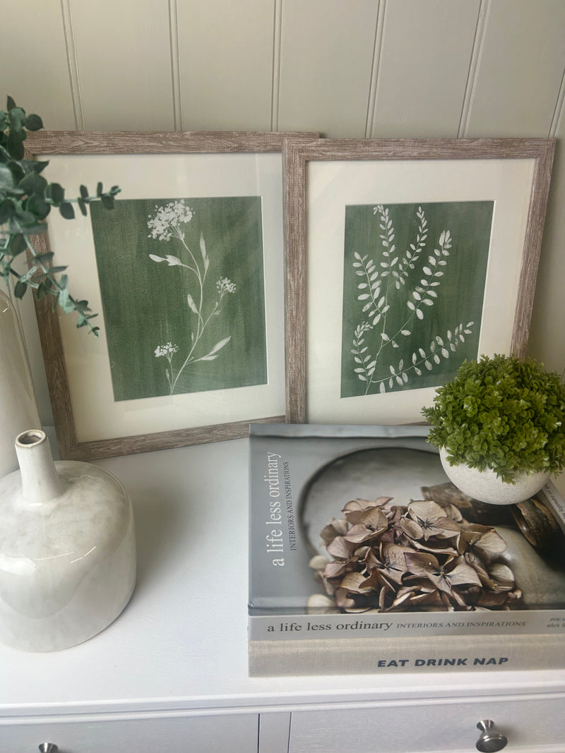 Sage green fern botanicals framed mounted glazed art work pictures 2 styles
