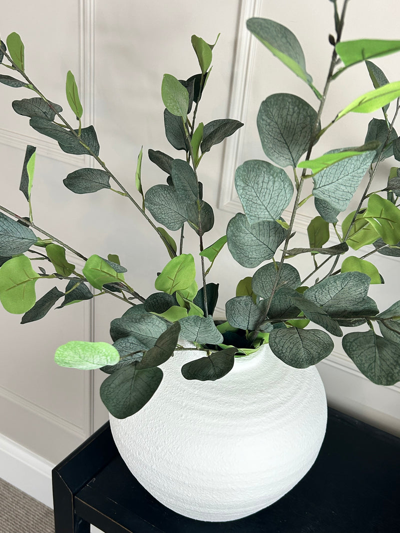 Single stem natural green dollar eucalyptus 72cm