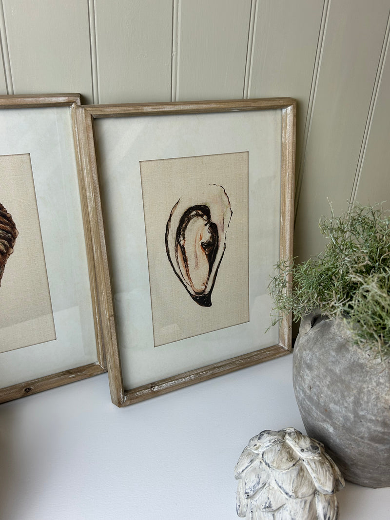 Oyster Shell Light Wood Framed Prints, 2 Styles