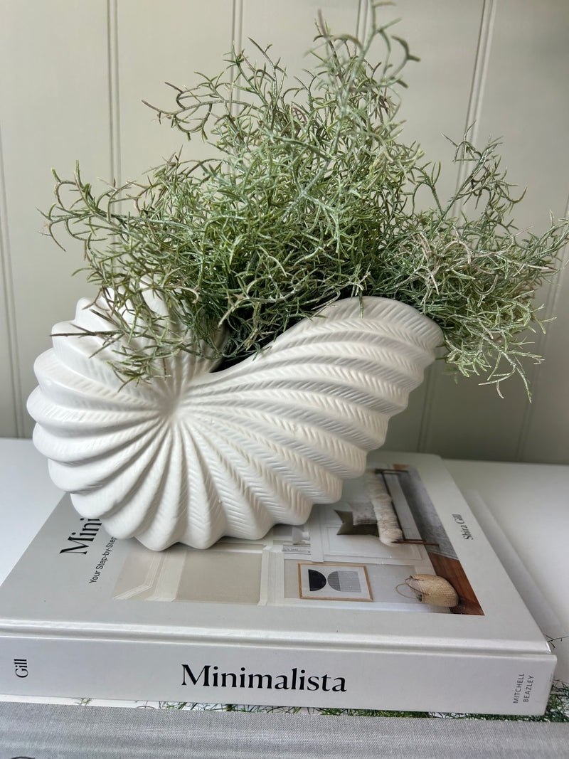 White Conch Shell Planter Pot
