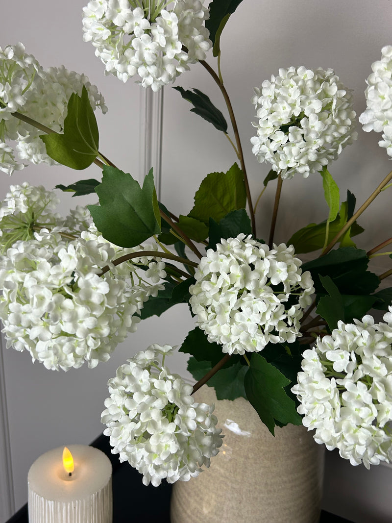 Viburnum Opulus snowball floral stem