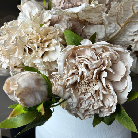 Oyster blush Dried Touch Open Peony with bud