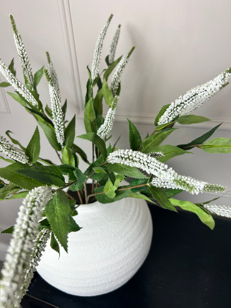 White Veronica multi stem 70cm