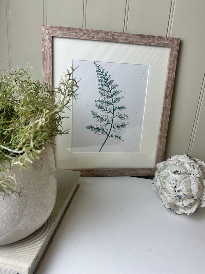 Fern botanical natural green white cream washed wood frame mounted art picture 3 styles