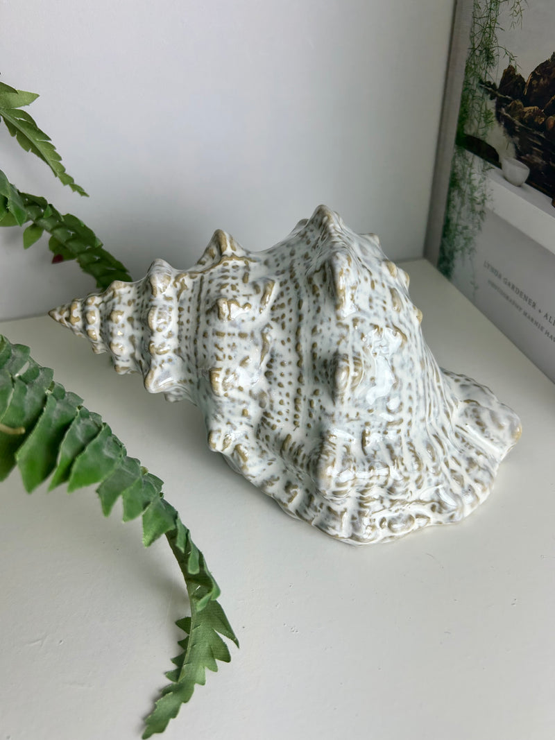 Off White Taupe Two Tone Ceramic Conch Shell