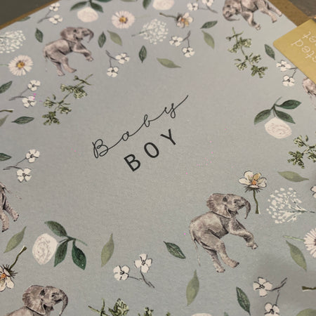 Baby Boy Greeting Card