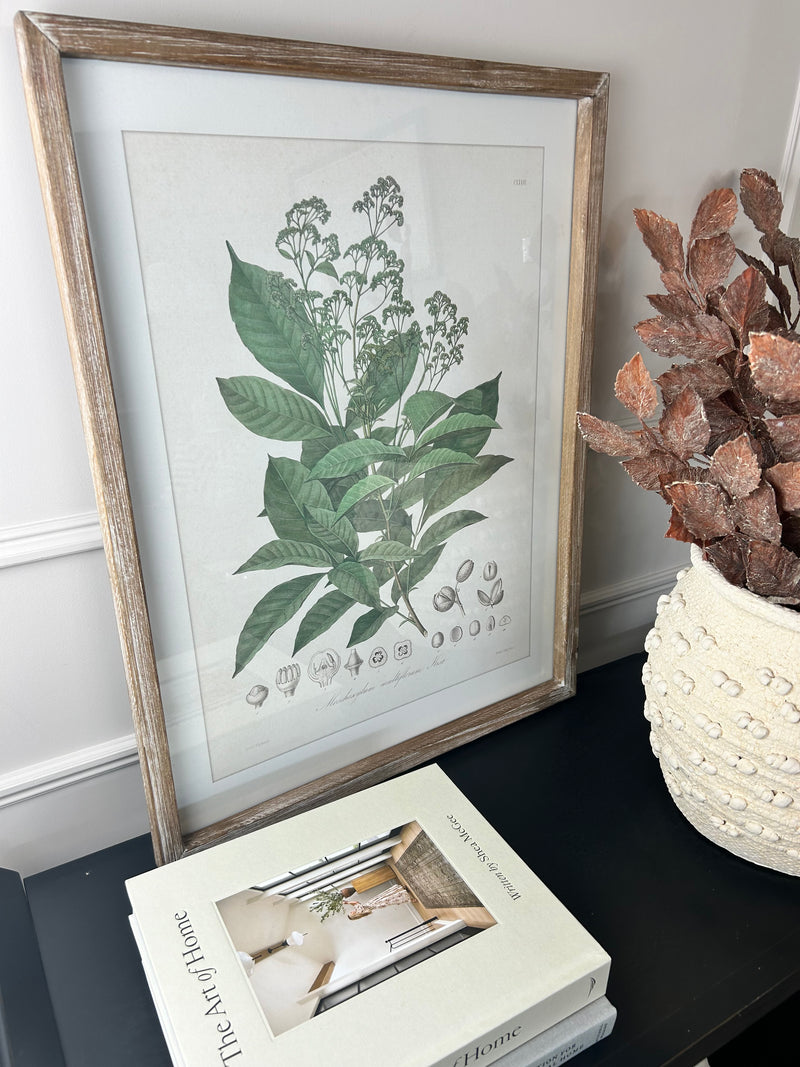 Large Botanical perennial rustic wooden framed prints 4 styles