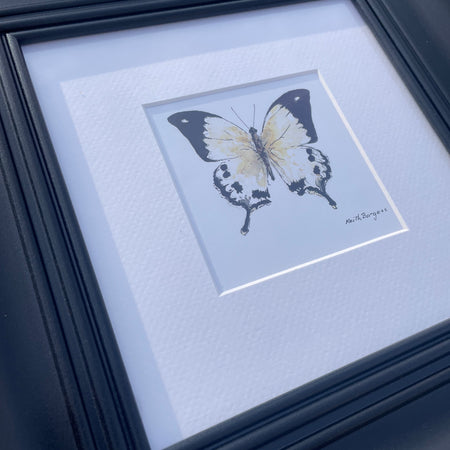 Butterfly print in frame by local artist Keith Burgess