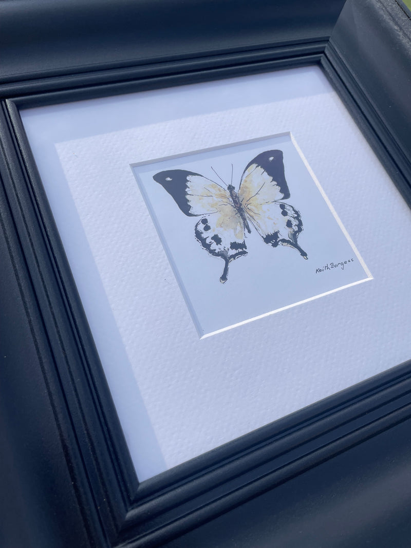 Butterfly print in frame by local artist Keith Burgess