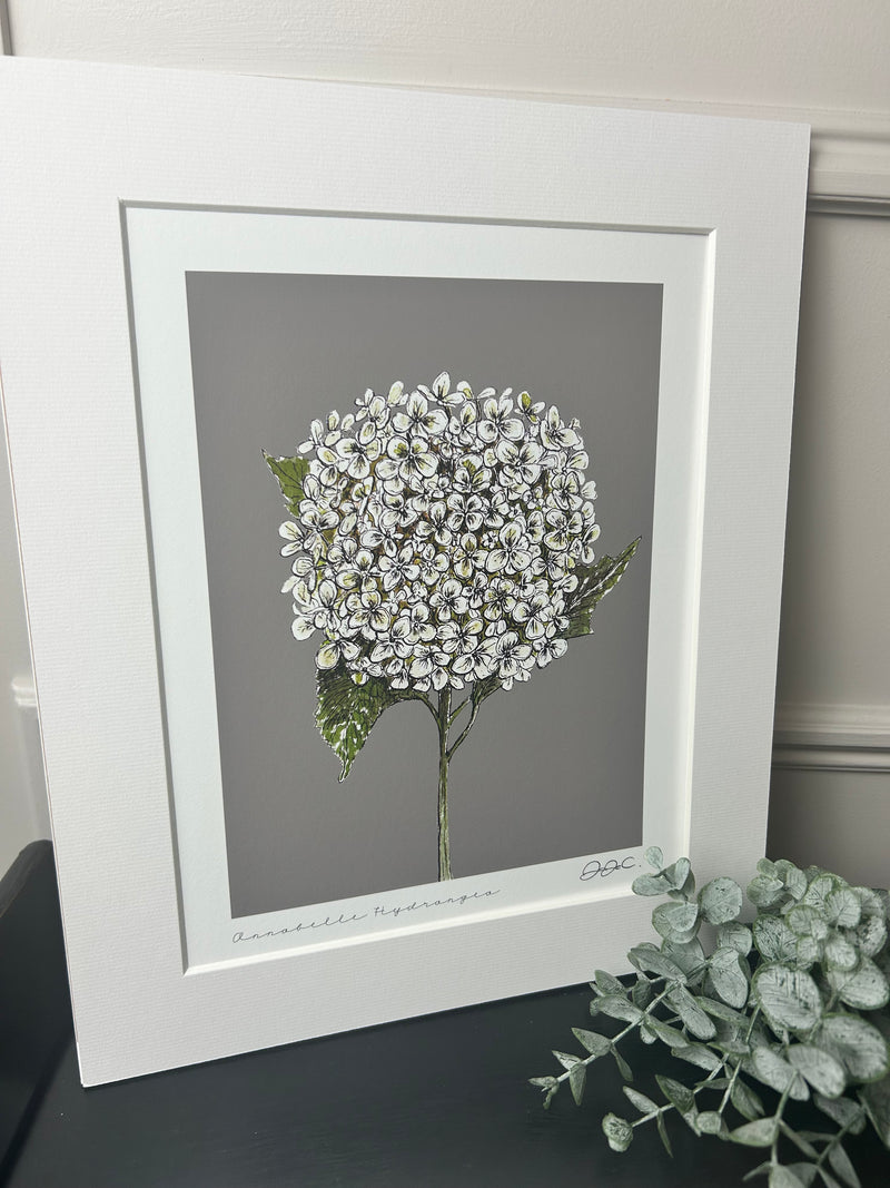 Beautiful mounted floral prints 4 styles