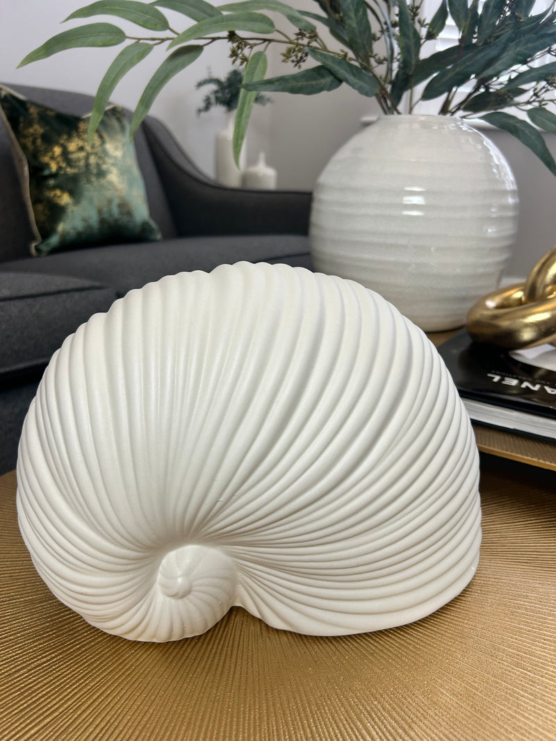 White Sea snail shell ornament