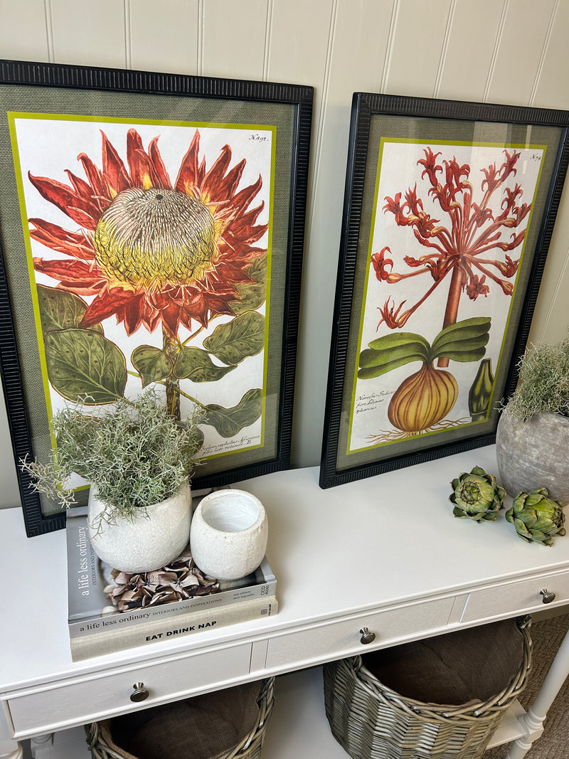 Liliaceo floral black framed glazed Prints