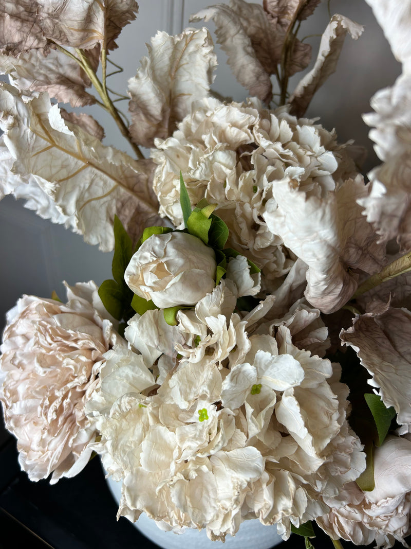 Oyster blush Ruffled Hydrangea Stem