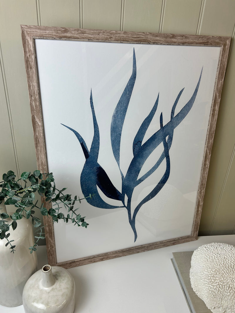 Blue wood framed coral seaweed pictures art 3 styles