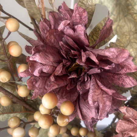 Mocha rich coffee dahlia tall stem 65cm
