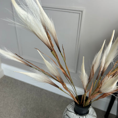 Tall Pampas reed spray 100cm