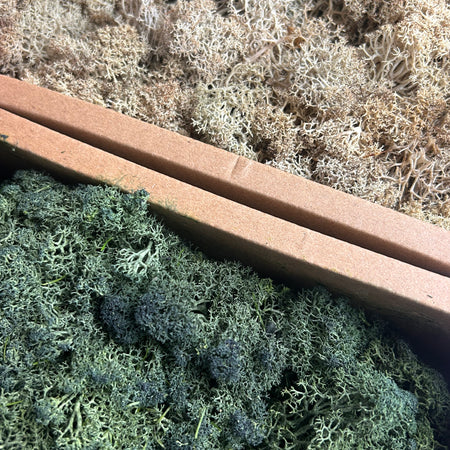 Decorative dried moss 2 colours 100g bag