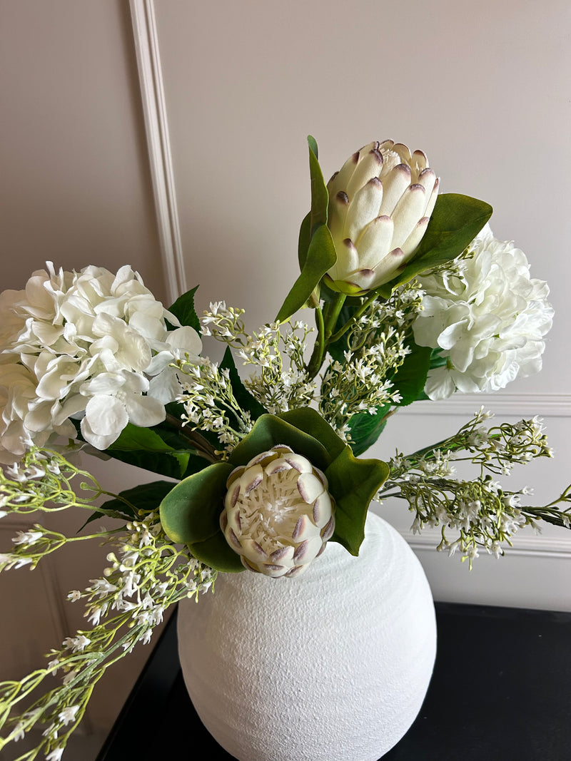 Off white closed protea stem