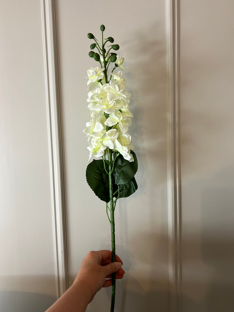 Large off white Cream Stocks Flower stem