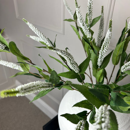 White Veronica multi stem 70cm