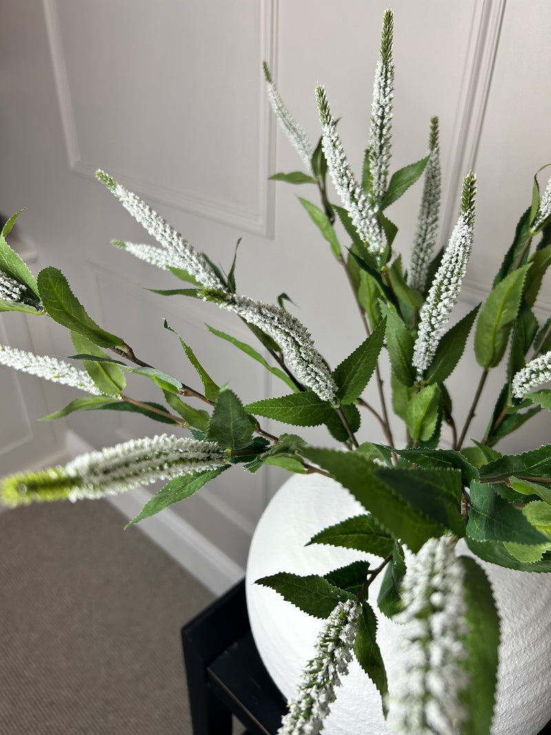 White Veronica multi stem 70cm