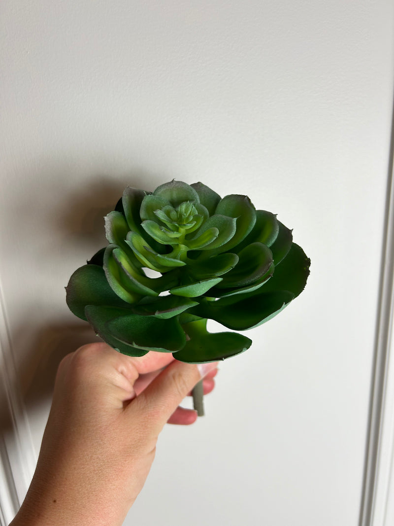 Afterglow succulent stem pick 10cm