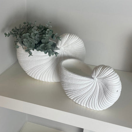 White Shell Shaped Planter, 2 Sizes