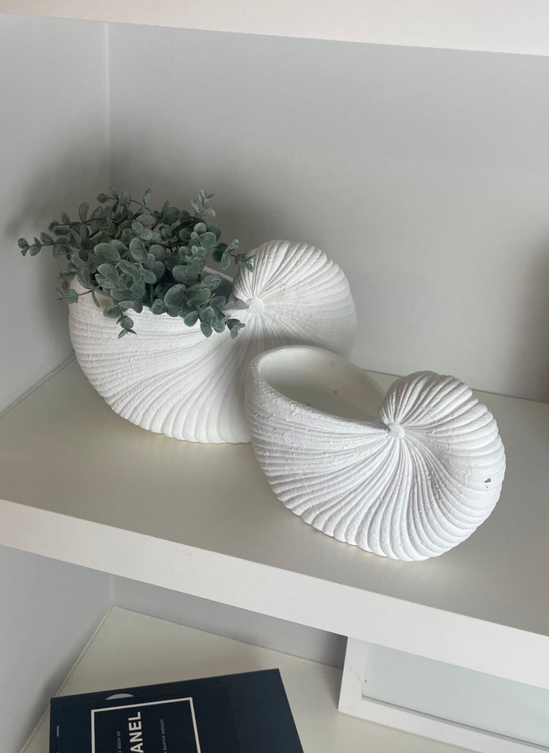 White Shell Shaped Planter, 2 Sizes