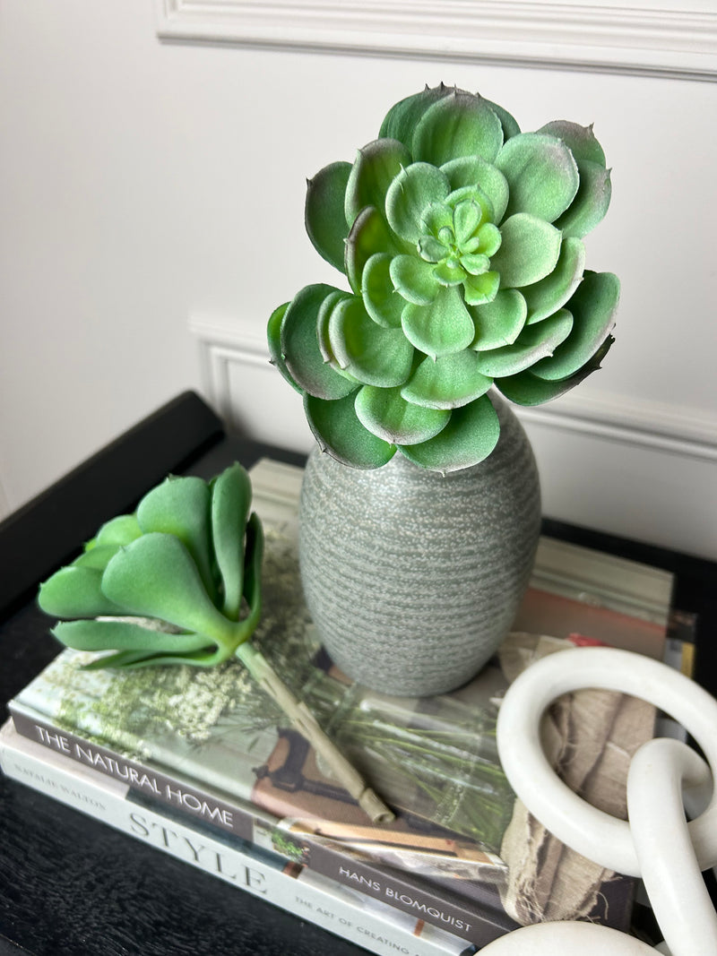 Afterglow succulent stem pick 10cm