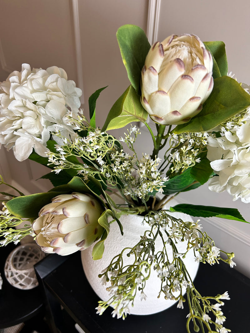 Off white closed protea stem