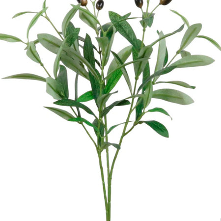 Olive stem spray shorter stem 45cm