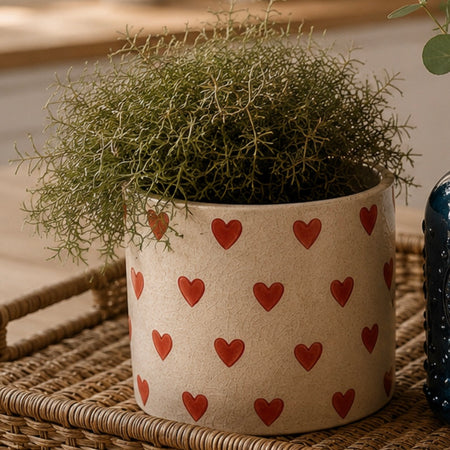 Painted Heart Plant Pot