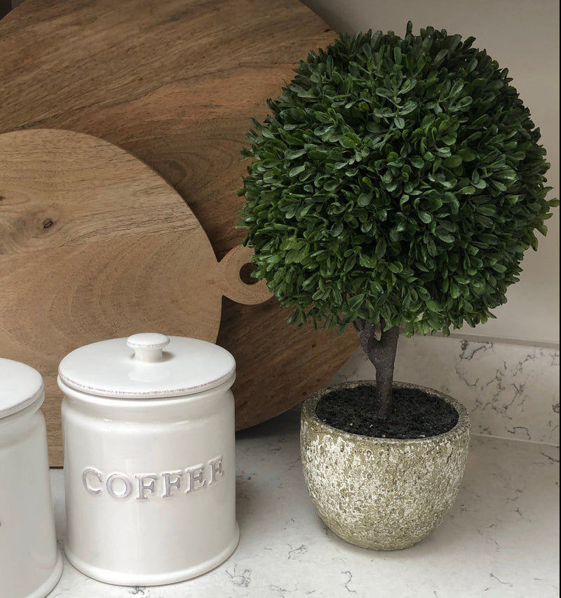 Boxwood ball topiary plant in stone plant pot