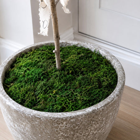 Bag of faux green moss