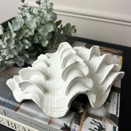 Store seconds White Sitting Shell