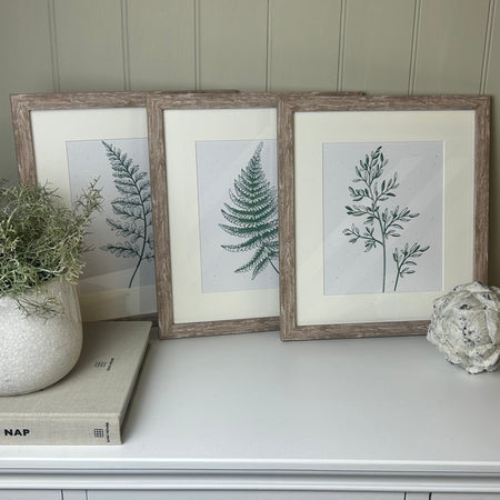Fern botanical natural green white cream washed wood frame mounted art picture 3 styles