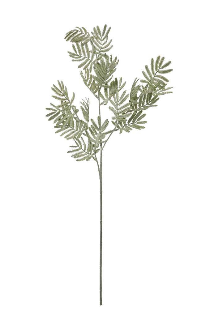 Silver leaf multi stem foliage 73cm