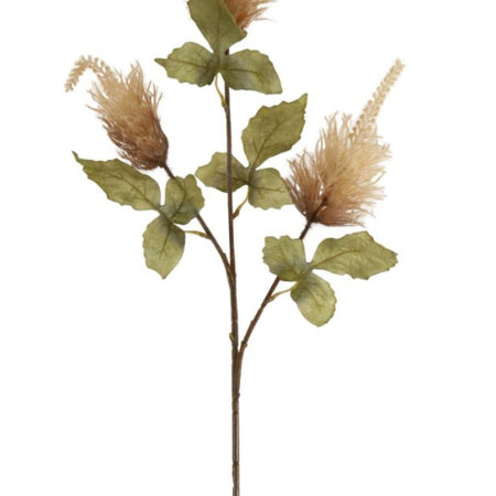 Mocha oyster Alexis Tall spike Spray Stem