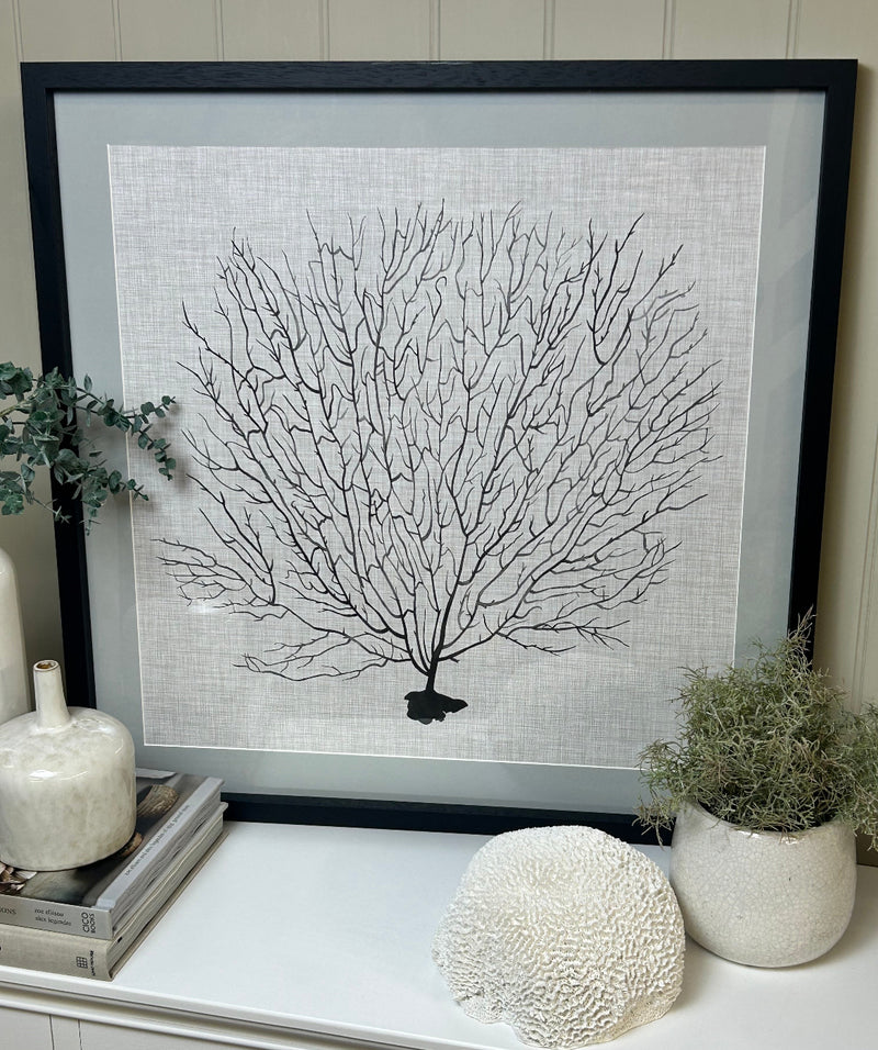 Large white coral picture frame