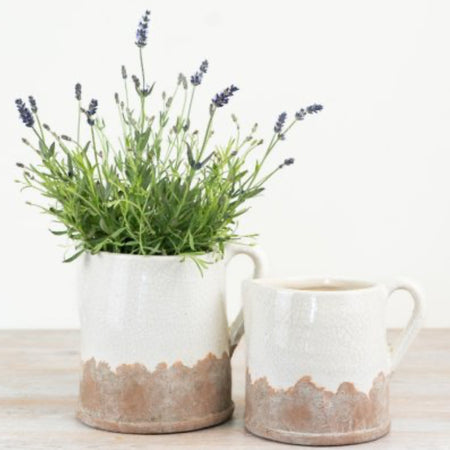 Ido Natural Cream Two Tone Rustic Jug, 2 sizes