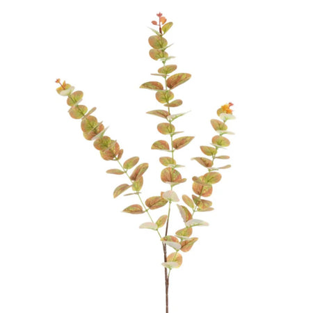 Dark pink/green tall eucalyptus stem 80cm