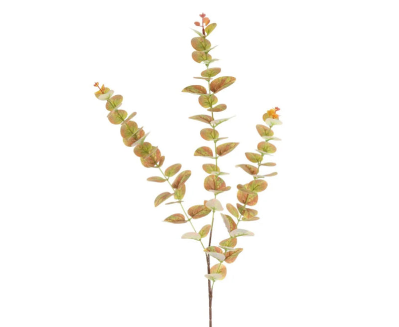 Dark pink/green tall eucalyptus stem 80cm