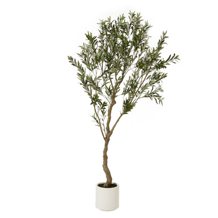 Tall 205cm olive tree in white pot